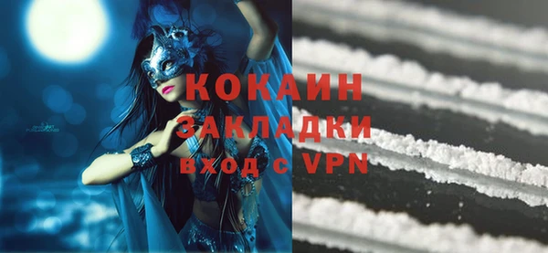 бошки Гусев