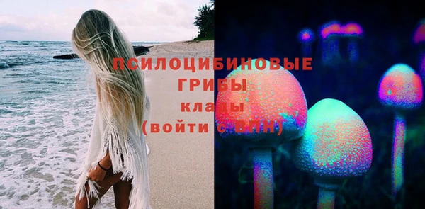 бошки Гусев
