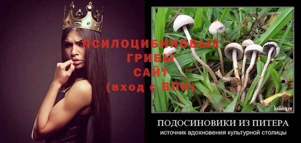 хмурый Гусиноозёрск