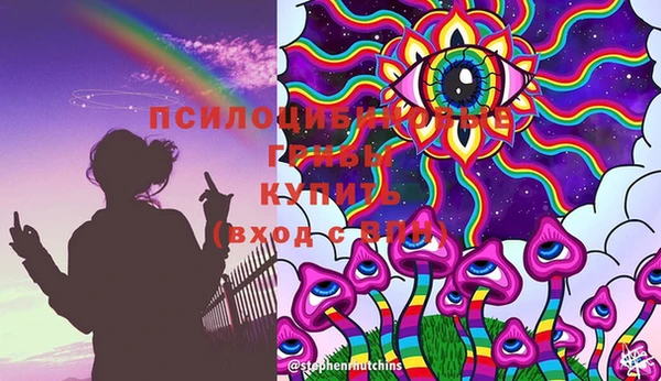 первитин Гусь-Хрустальный